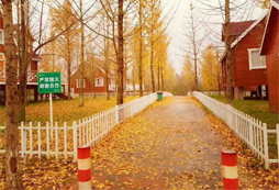 參加舟山少兒國學夏令營的費用貴嗎