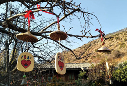 舟山夏令營費用貴不貴