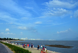 海濱航拍記錄