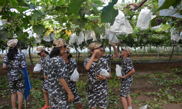 哈爾濱初中生軍訓(xùn)夏令營