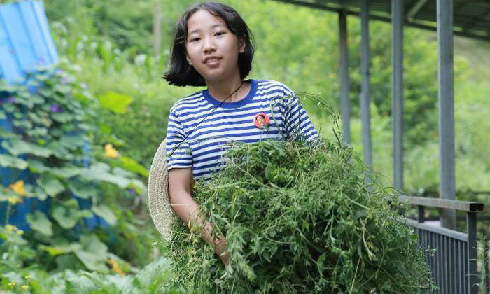 遵義研學(xué)夏令營怎么樣