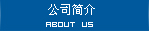 國際夏令營