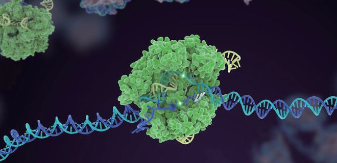 押寶CRISPR和人工智能！張澤民院士團(tuán)隊(duì)的研究方向開始更新了！(圖2)