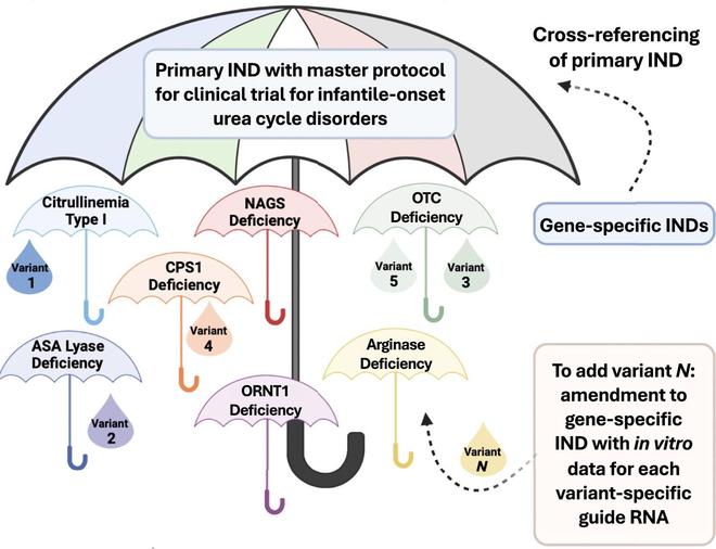 美國(guó)基因編輯療法邁入“快車道”為罕見病定制藥研發(fā)開綠燈(圖2)