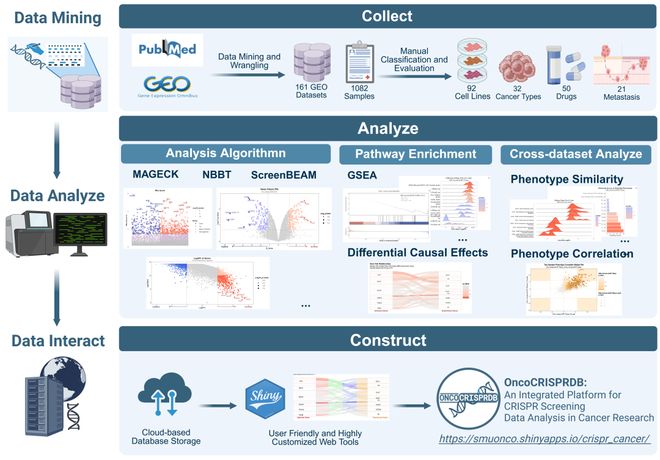 腫瘤CRISPRScreen在線平臺！重磅推薦！(圖3)