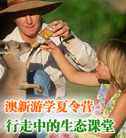 澳洲游學