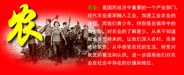 未命名-2.gif